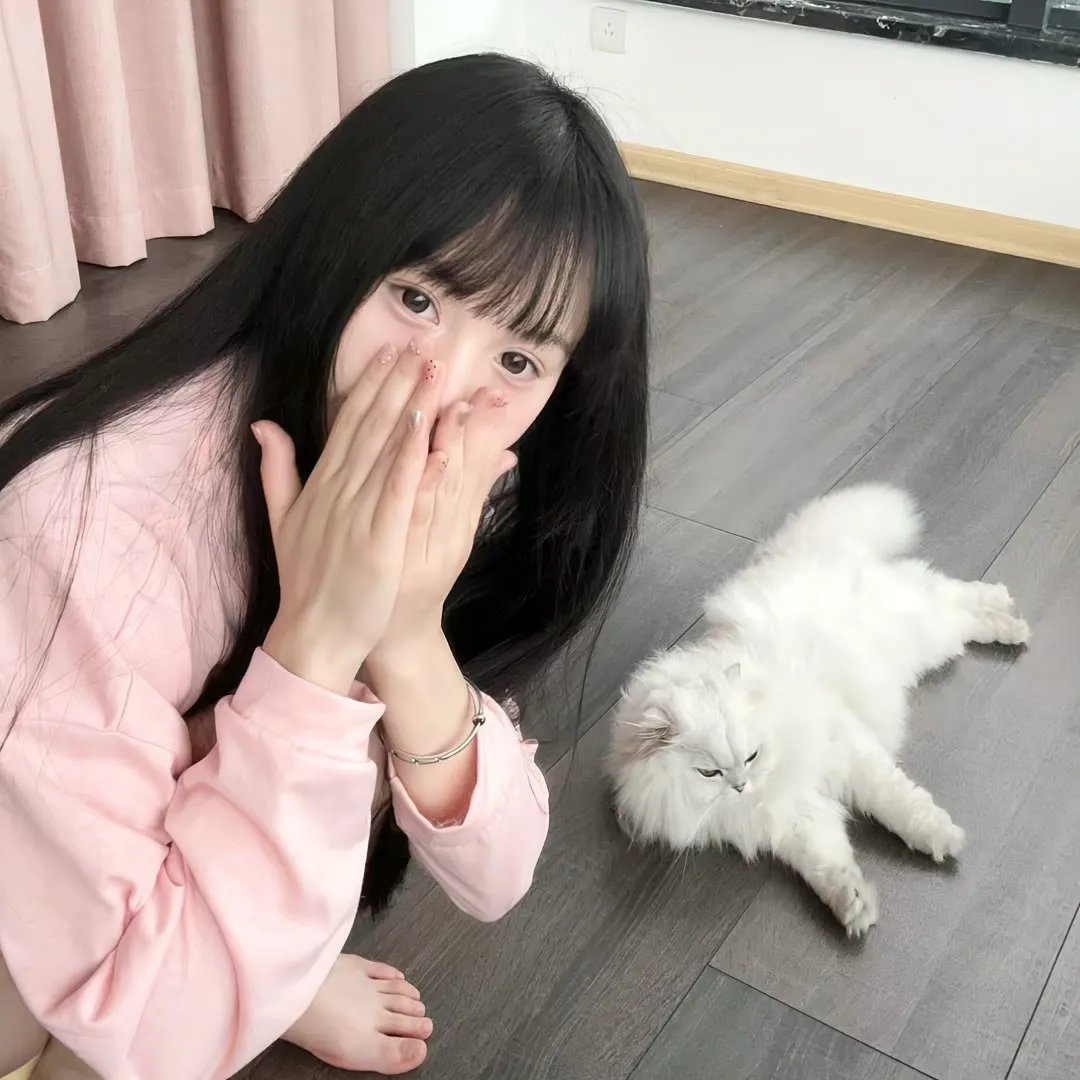 金龟车再现 在线观看